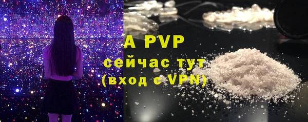 mdpv Каменка