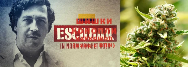 шишки Касимов