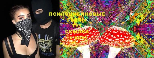 прущая мука Каменногорск