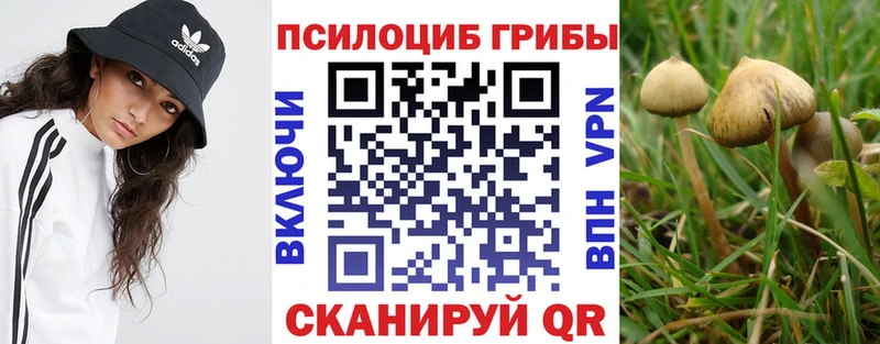 Галлюциногенные грибы Cubensis Нягань